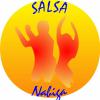 11872673276 large Salsa
